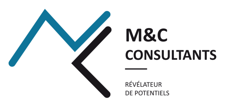 performance organisationnelle mc consultants